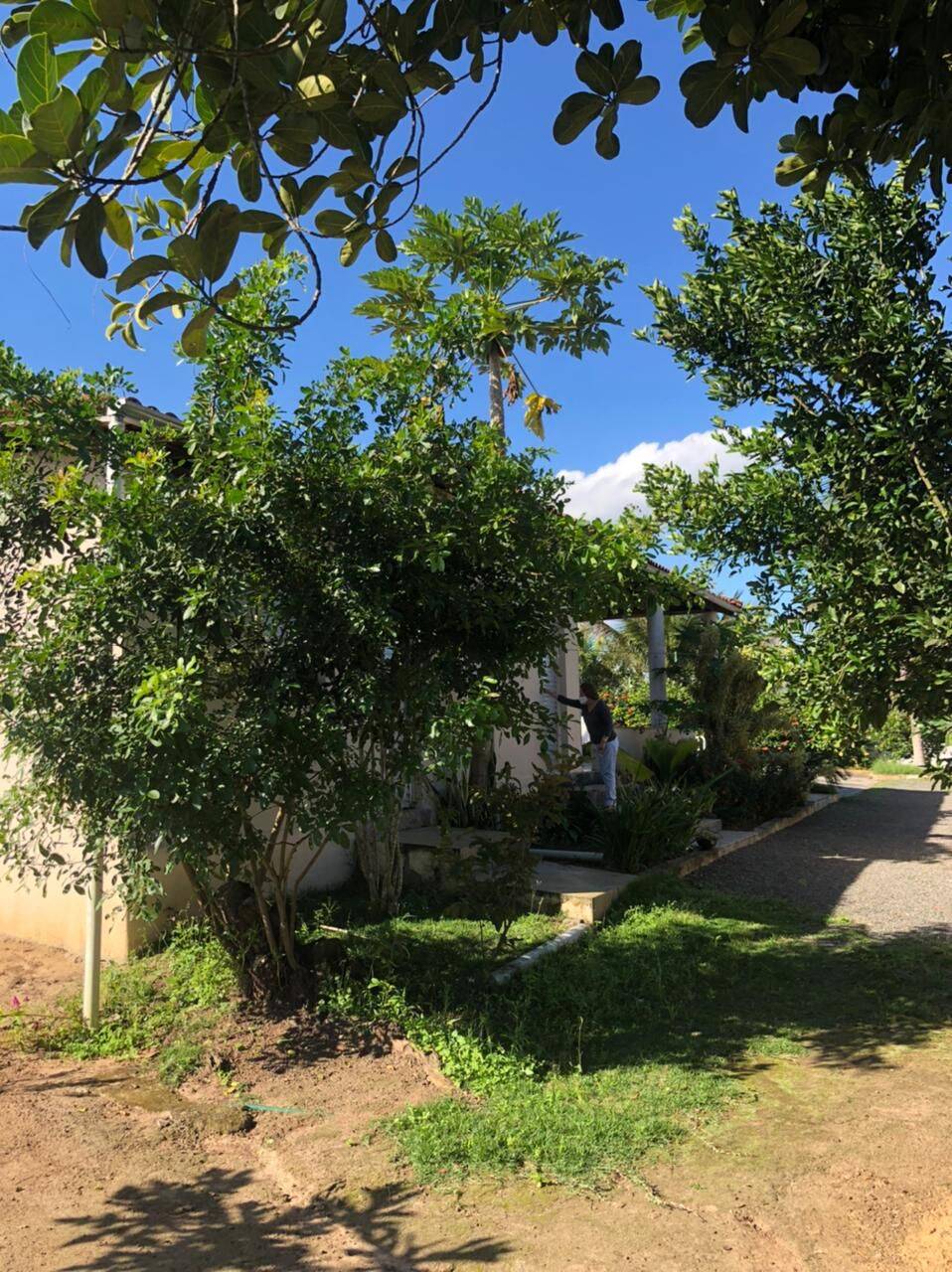 Casa à venda com 4 quartos - Foto 6